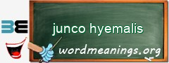 WordMeaning blackboard for junco hyemalis